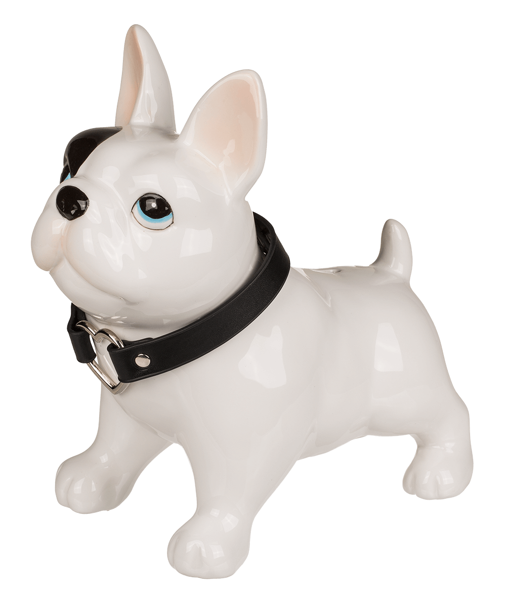 Money bank, dog,