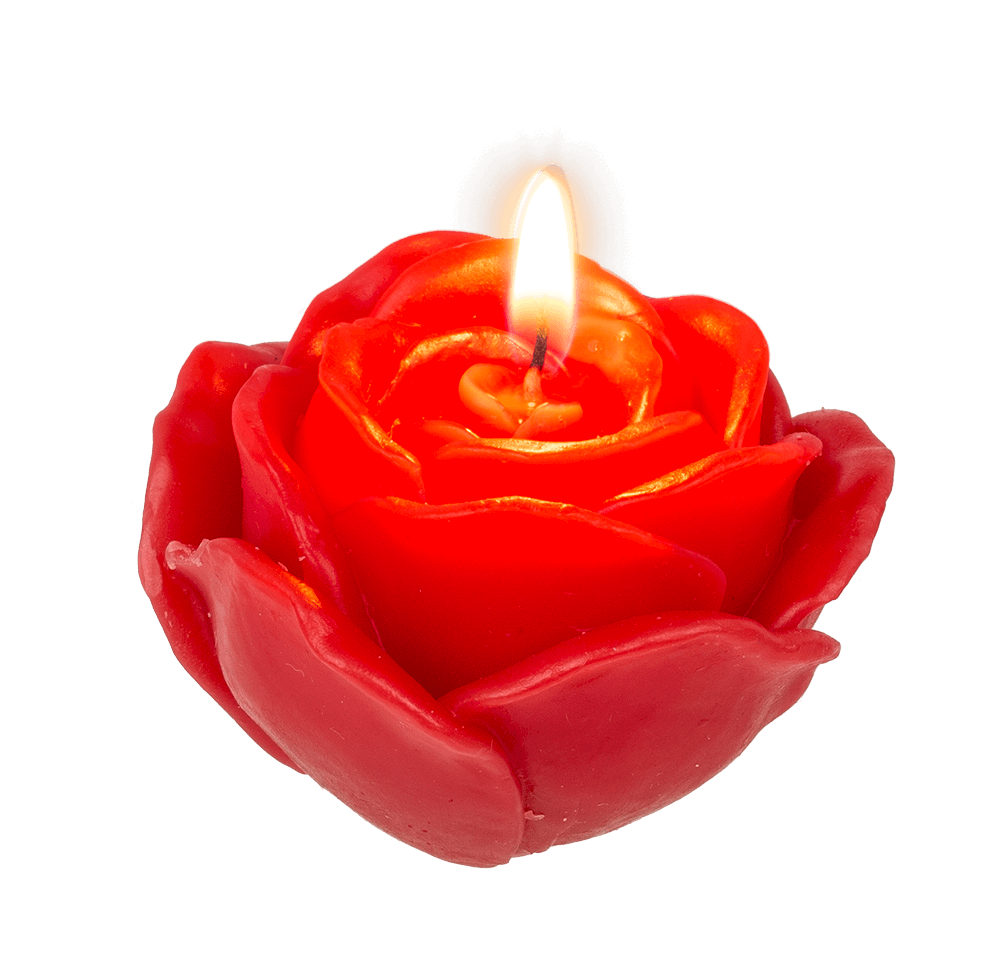 Red colored candle, rose, set of 3 pcs,