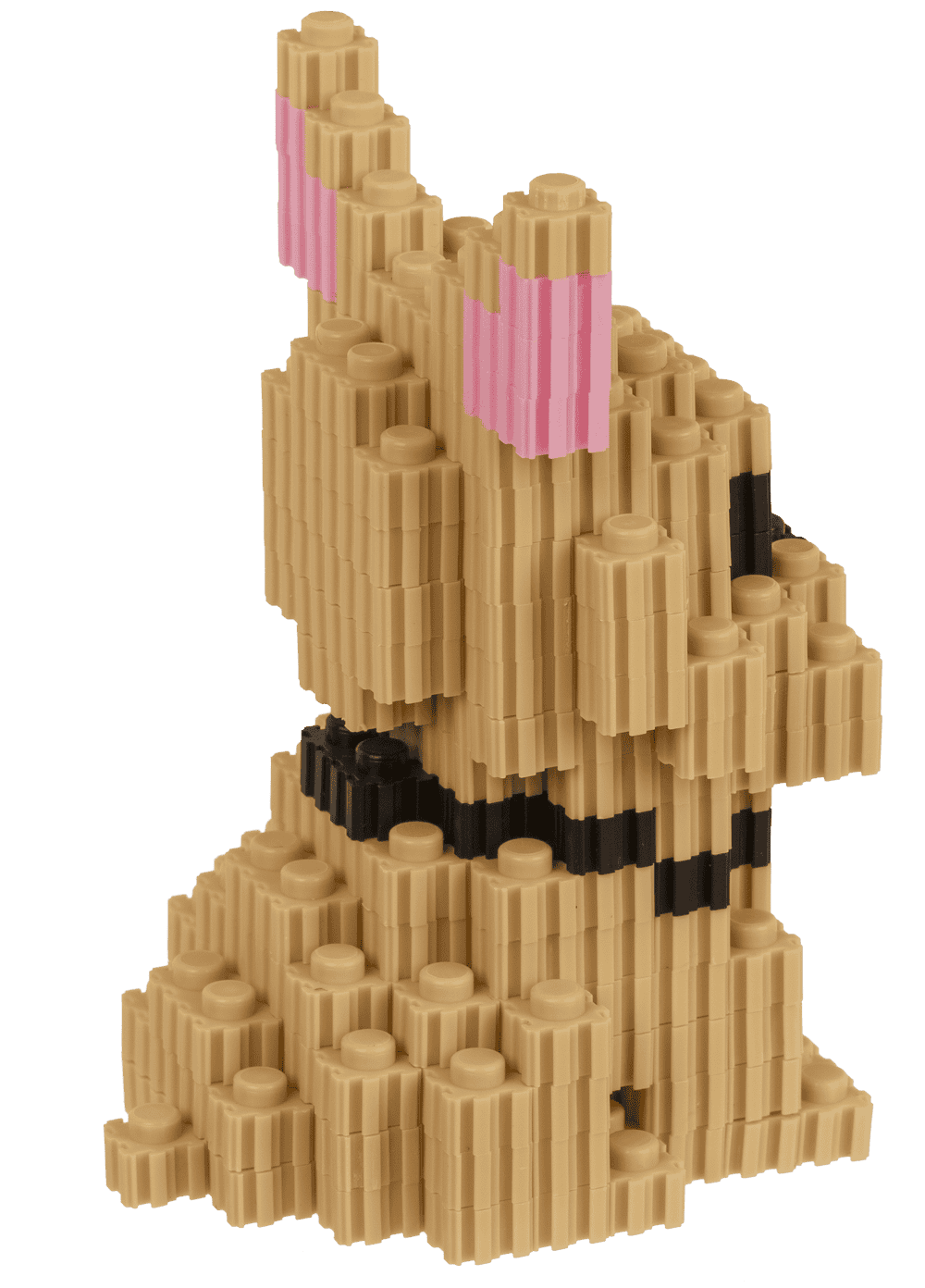 Construction blocks, Puppies,