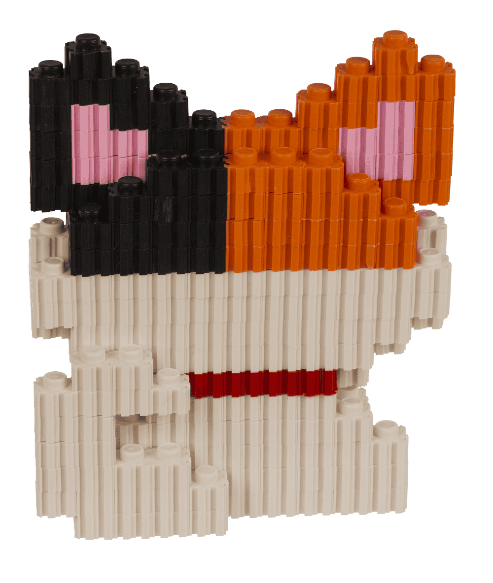Construction blocks, Kittens,