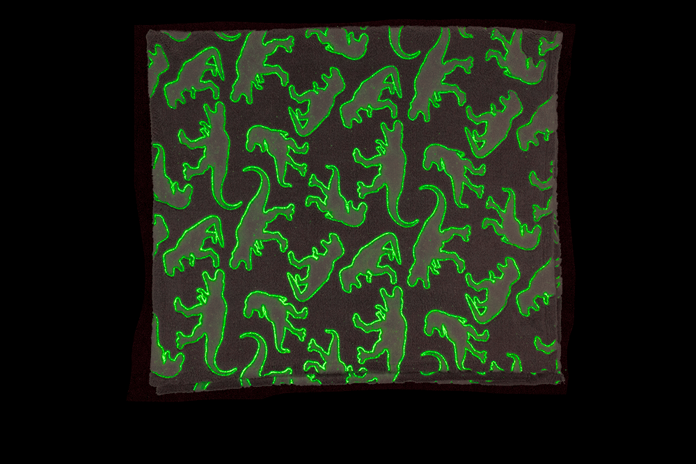 Plush blanket, dinosaur,