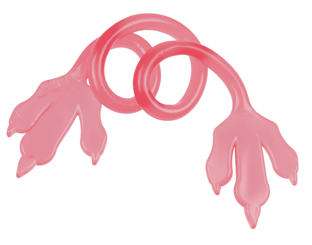 Stretchy/Sticky Dinosaur Claw, approx. 34,5 cm,