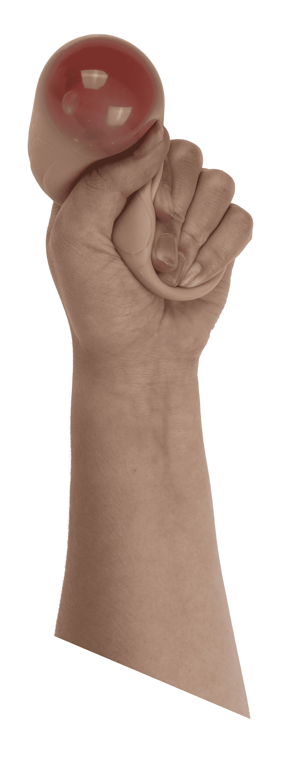 Anti Stress Ball, Testicle,