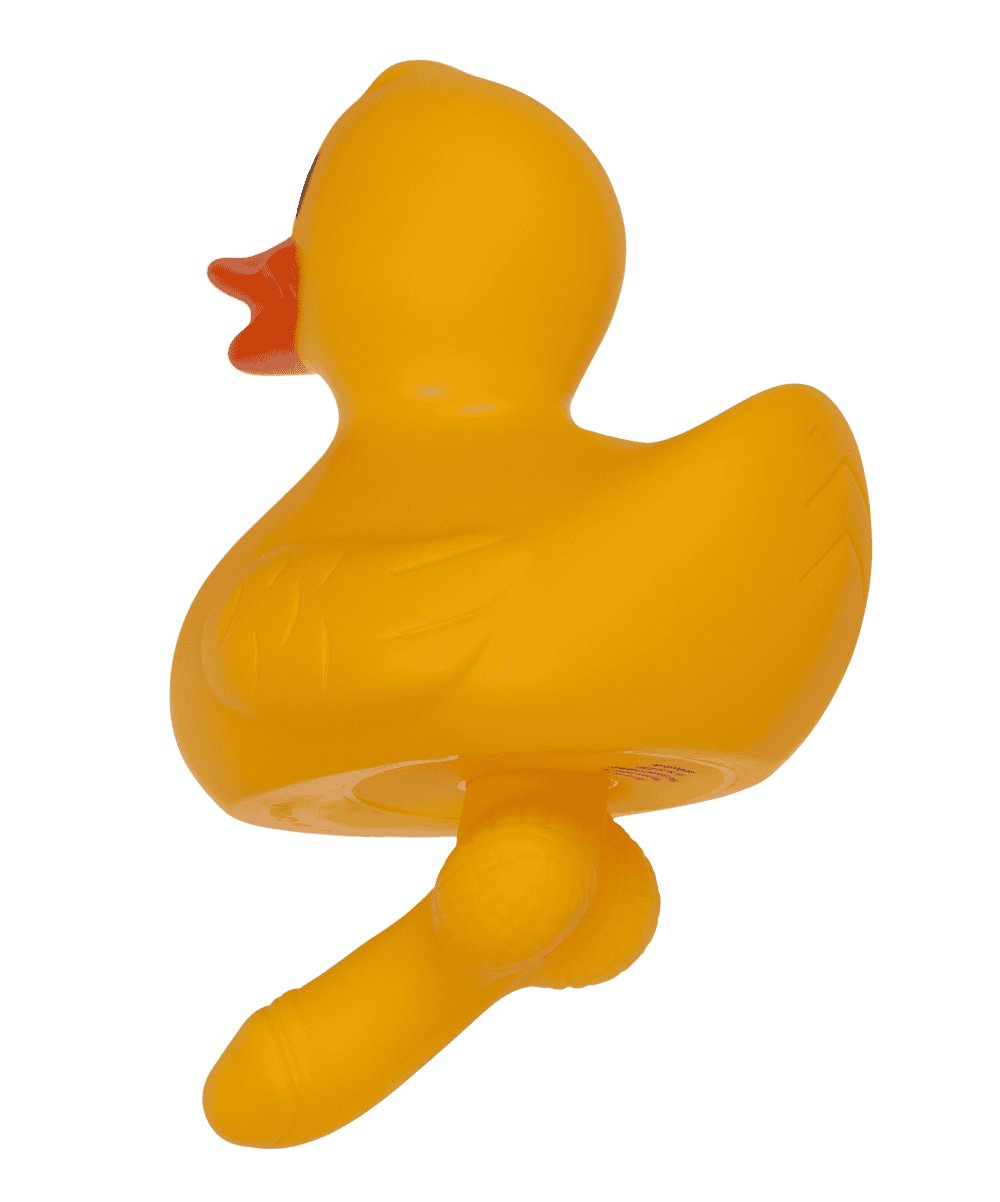 Duck with dick, X cm,
