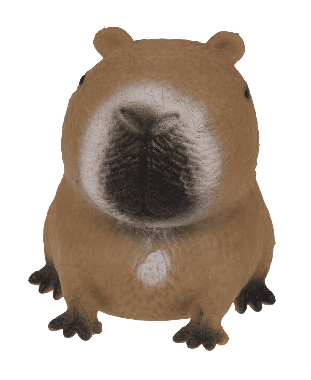 Squeezie Capybara