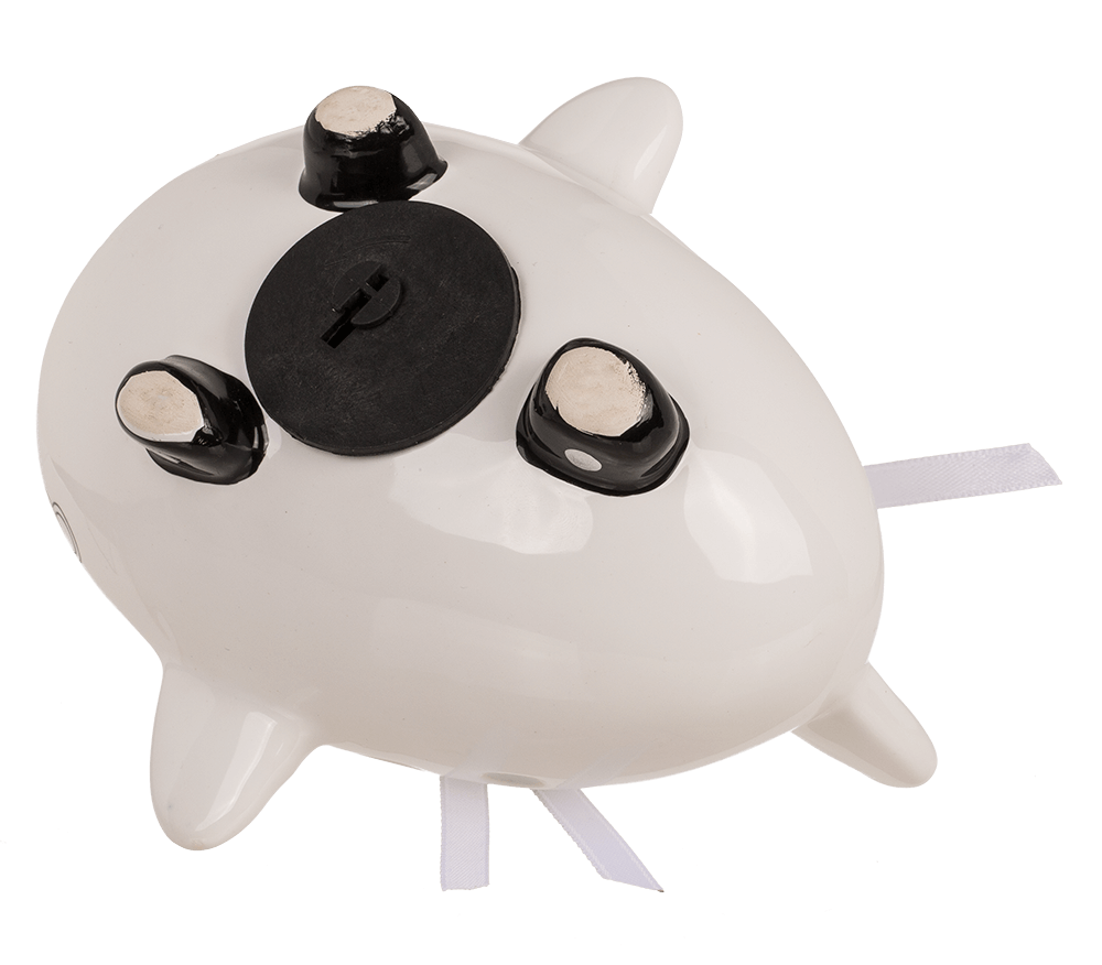 Saving bank, airplane, Just Married,