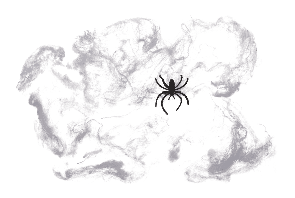 Spider web set,