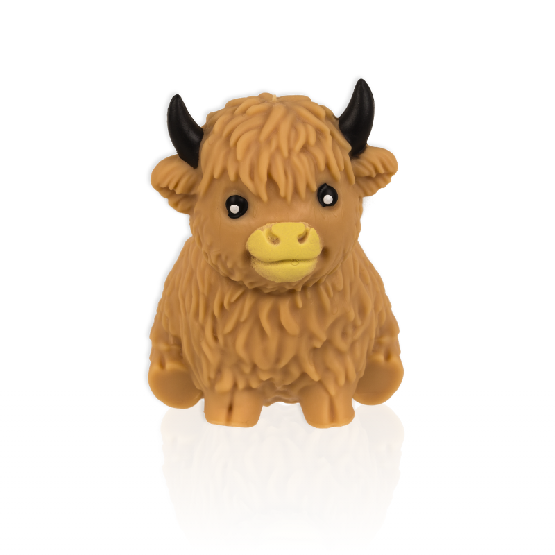Highland Cow