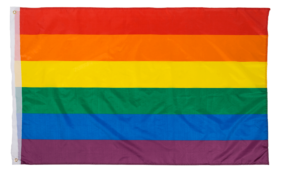 Flag, Pride, 150 x 90 cm, in polybag