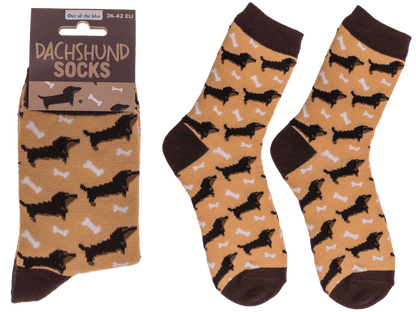 Socks, Dachshund, size 36-42,