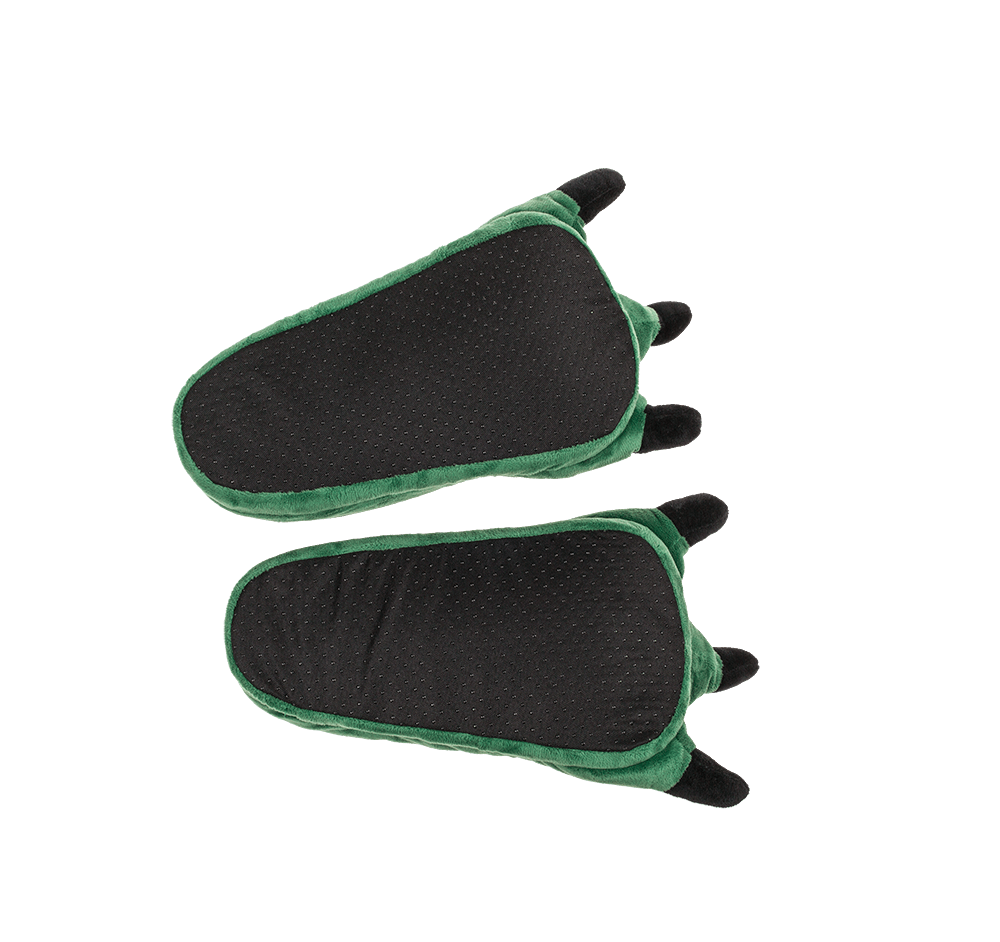 Cosy slipper, Dinosaur paw,