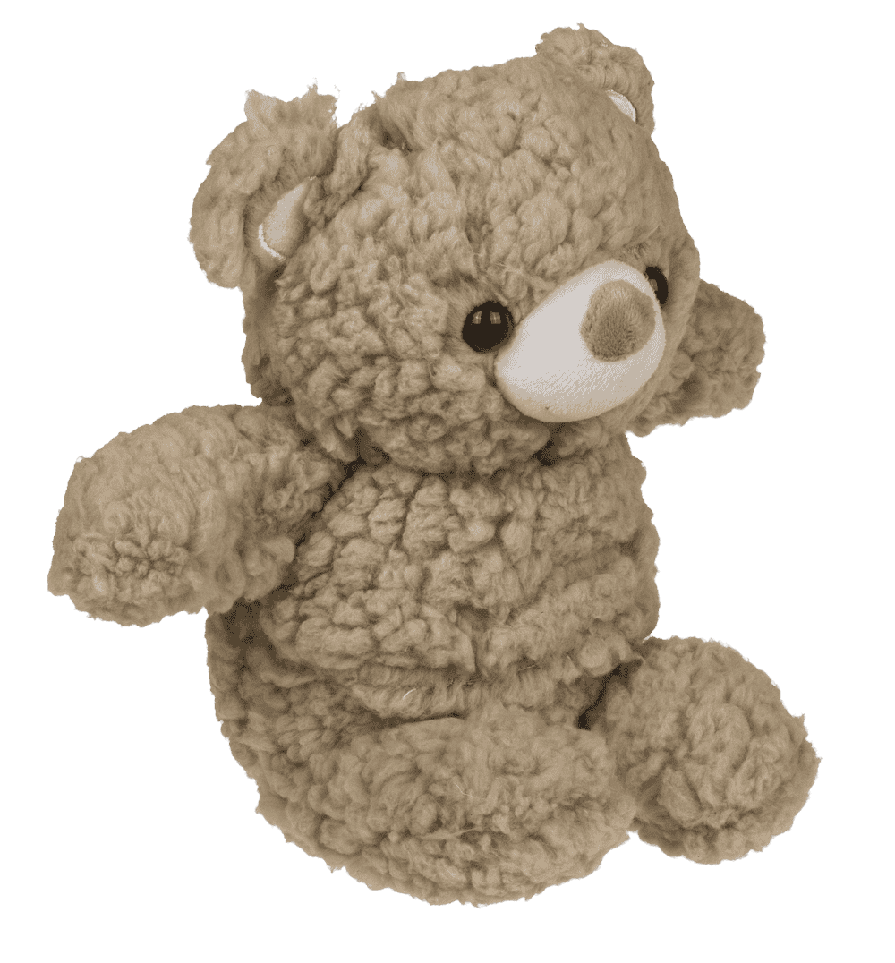 Plush bear with heat pack,