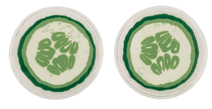 Hot/Cold Spa Eye Pads, in cucumber design,
