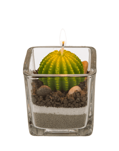 Candle in glass, Cactus with sand & stone deco,