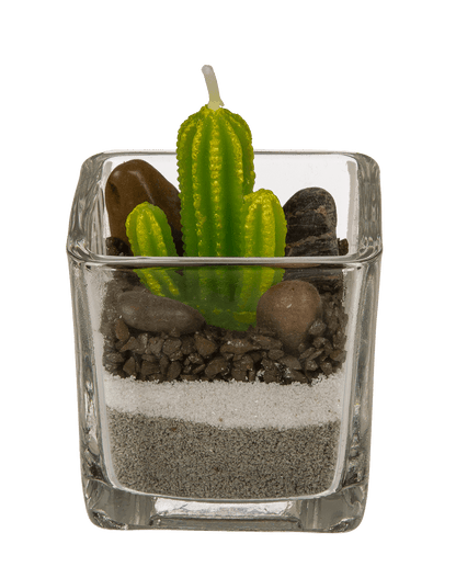 Candle in glass, Cactus with sand & stone deco,
