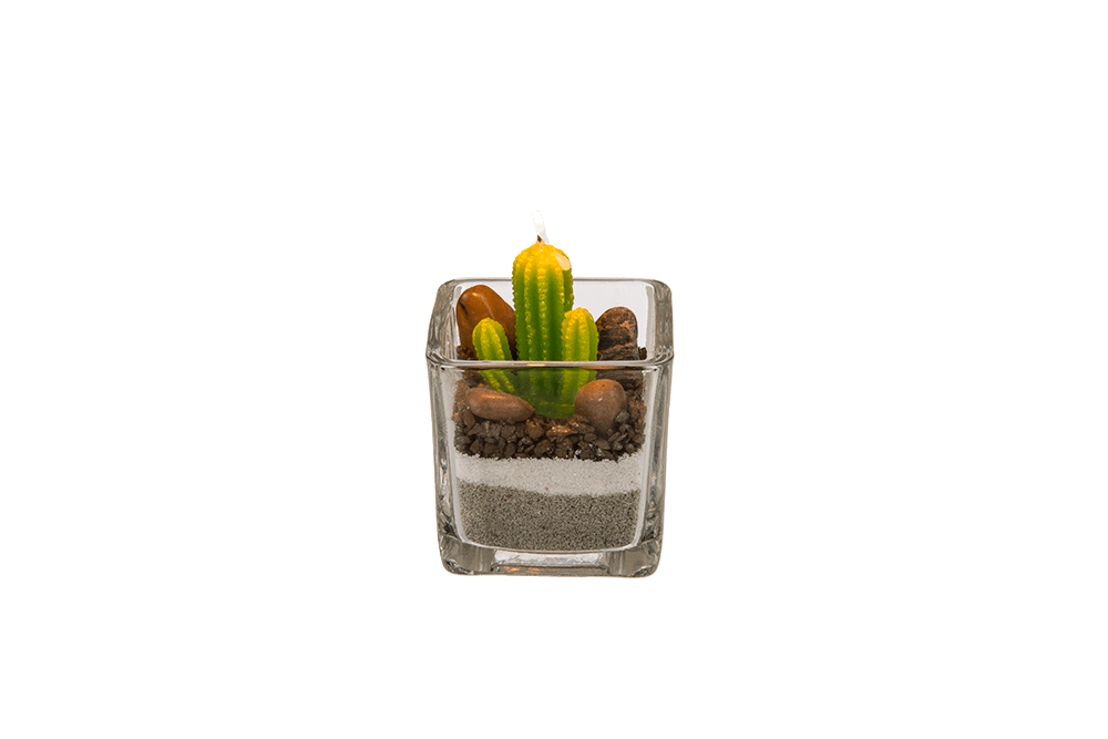 Candle in glass, Cactus with sand & stone deco,