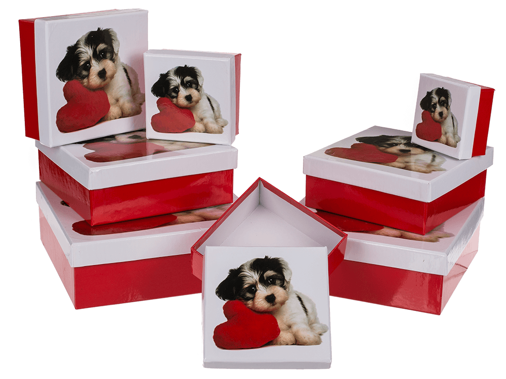 Red/white gift boxes, Dog with heart,