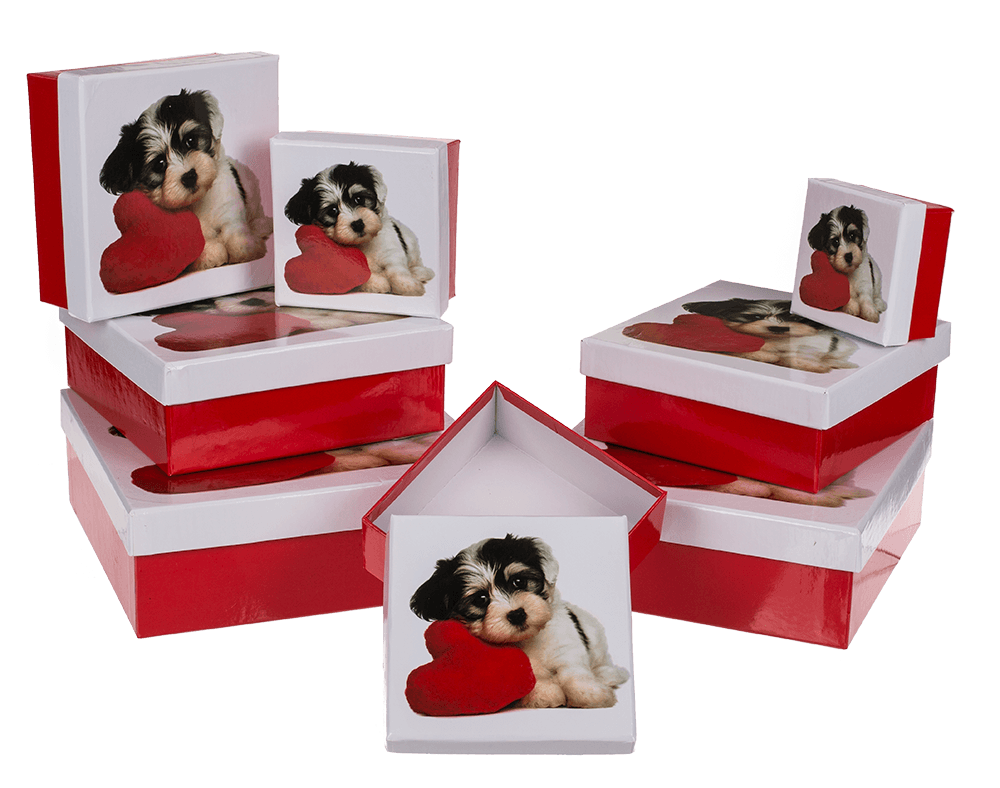 Red/white gift boxes, Dog with heart,