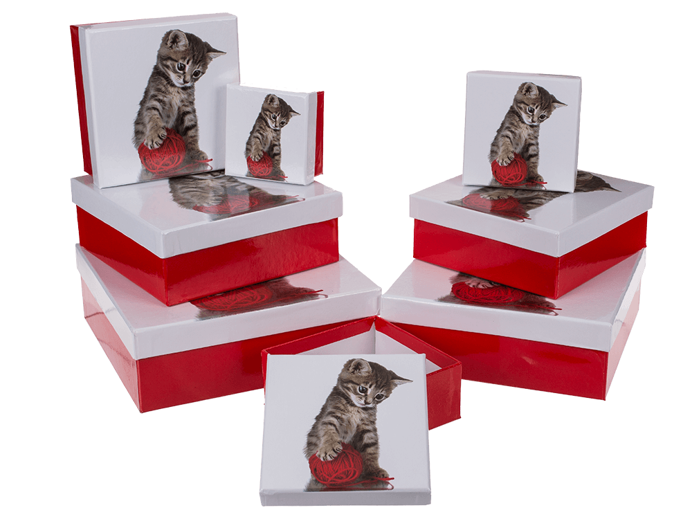 Red/white gift boxes, Cat,