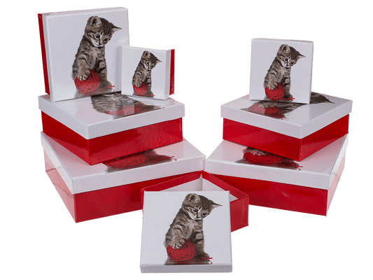 Red/white gift boxes, Cat,