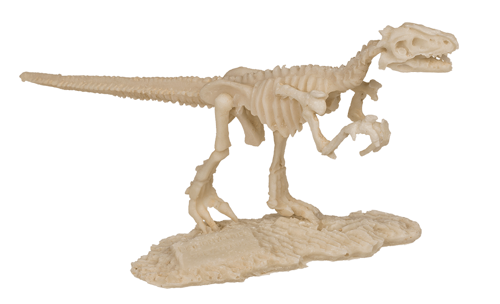 Excavation kit, Dinosaur Skeleton,