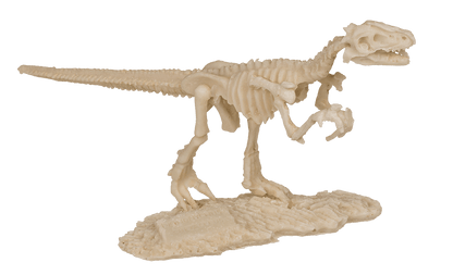 Excavation kit, Dinosaur Skeleton,