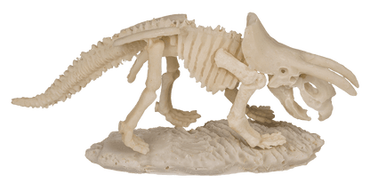 Excavation kit, Dinosaur Skeleton,