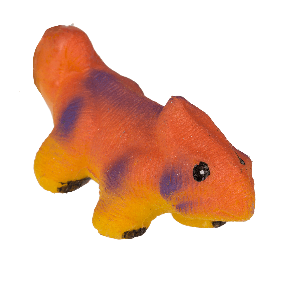 Growing dinosaur in egg,