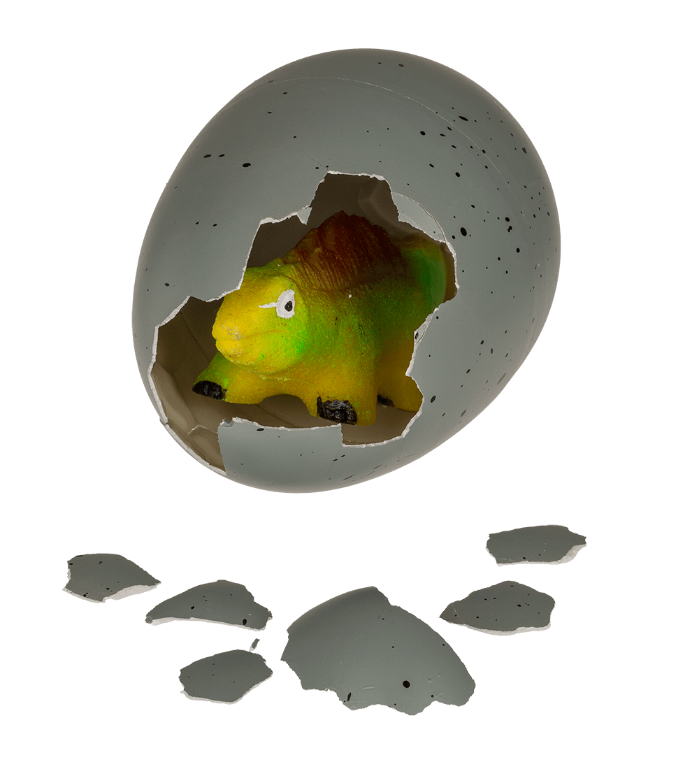 Growing dinosaur in egg,