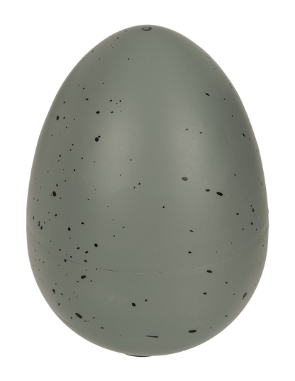 Growing dinosaur in egg,