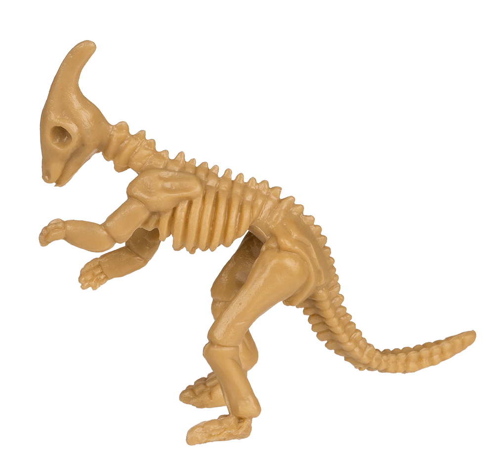 Excavation kit, Dinosaur Skeleton,