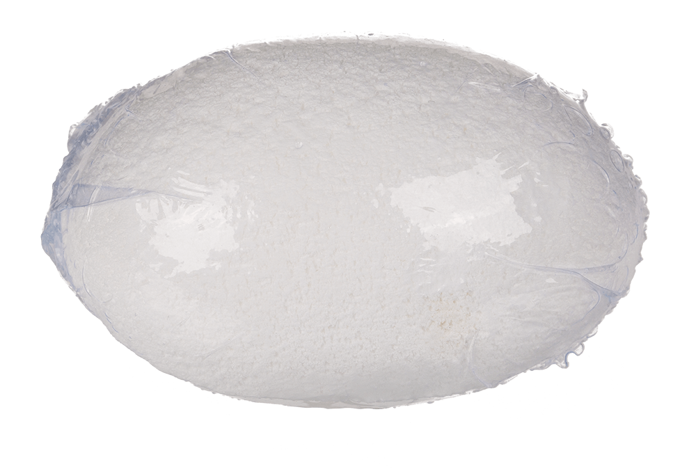 Hatching dinosaur in fizzy egg,