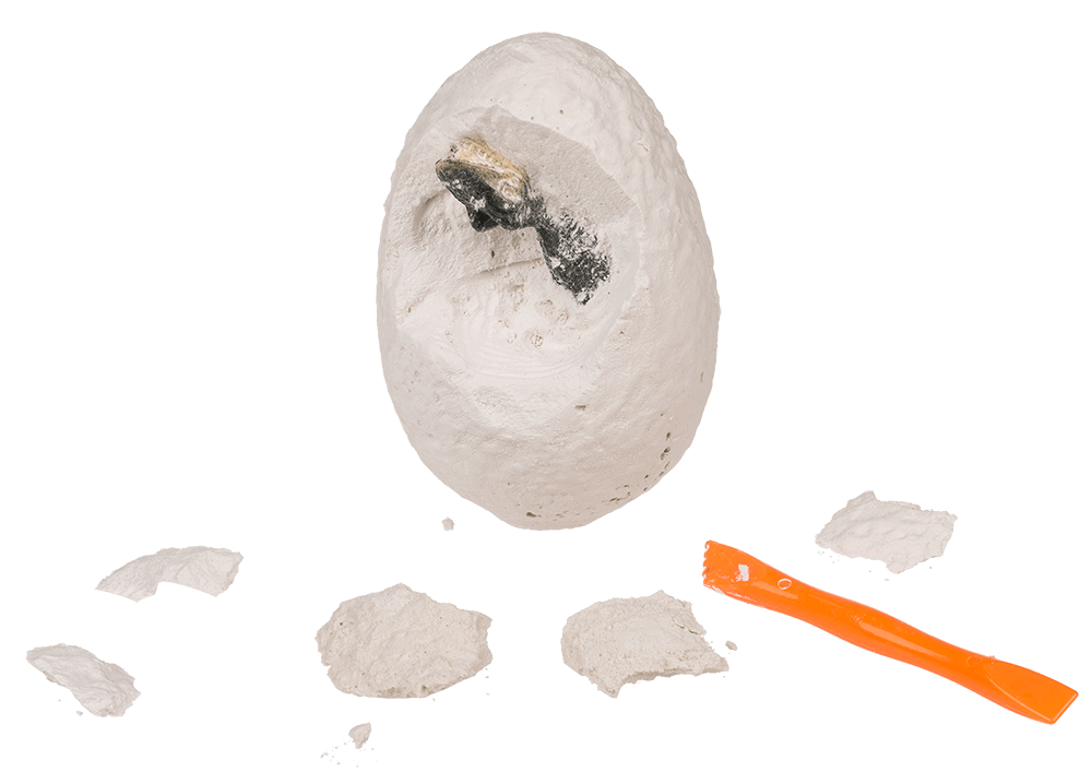 Excavation set, Dinosaur,