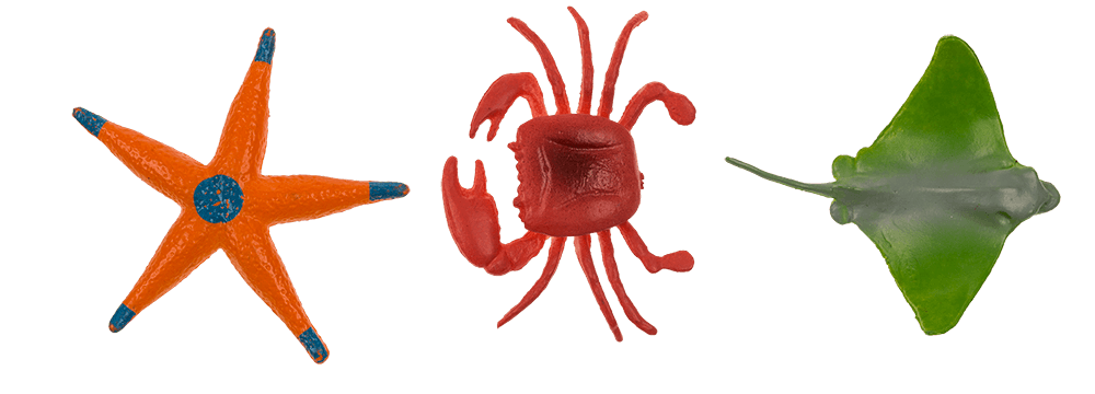 Excavation set, Sea-Life,