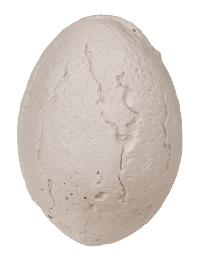 Excavation set, Sea-Life,