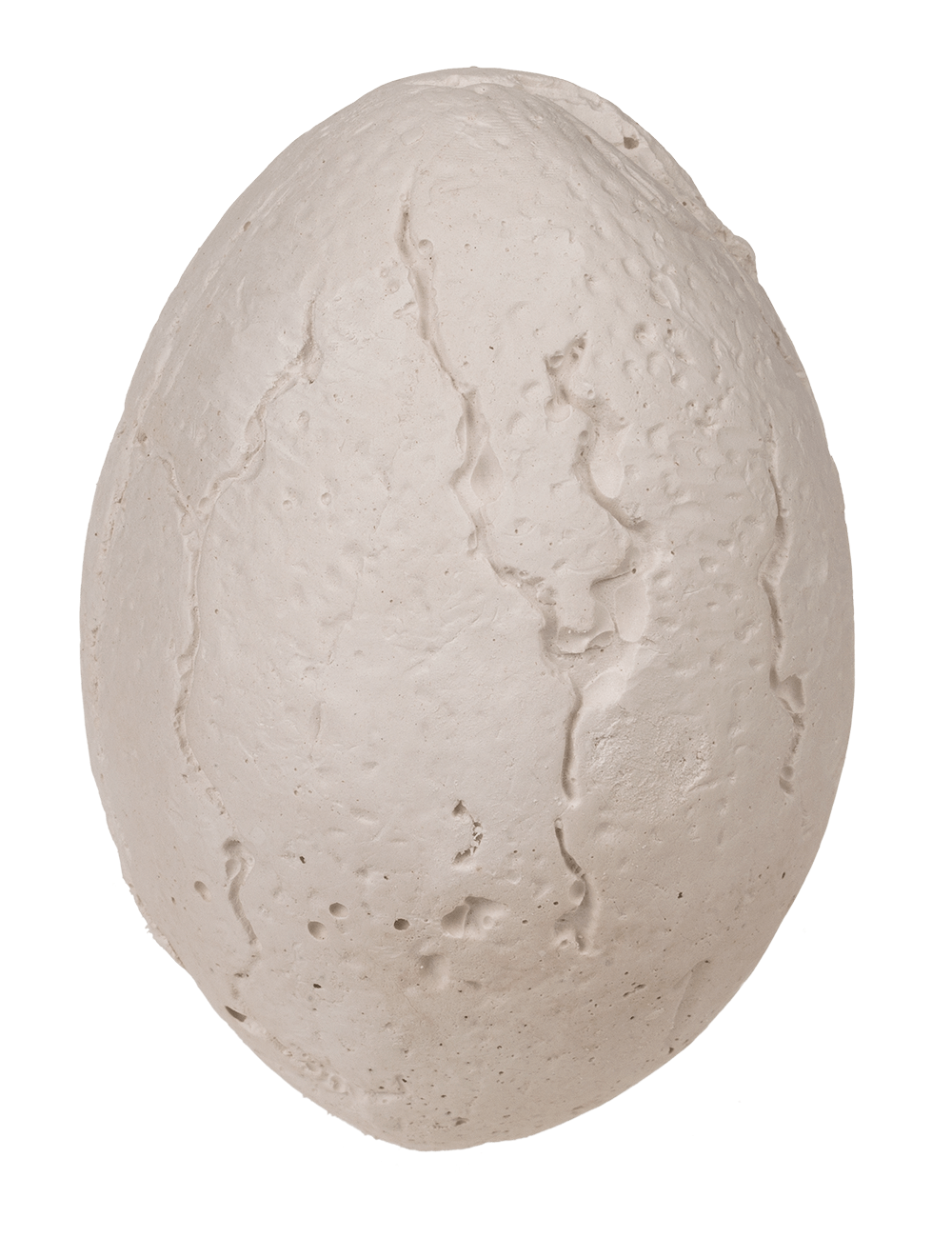 Excavation set, Wild Animals,