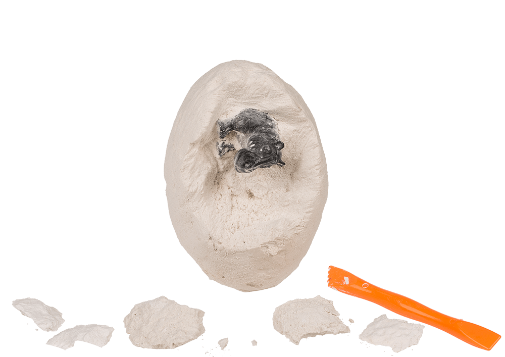 Excavation set, Wild Animals,