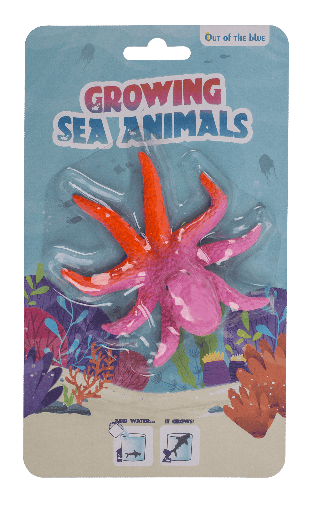 Growing Sea Animals, 10 cm,