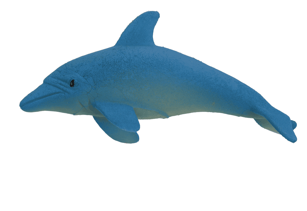 Growing Sea Animals, 10 cm,