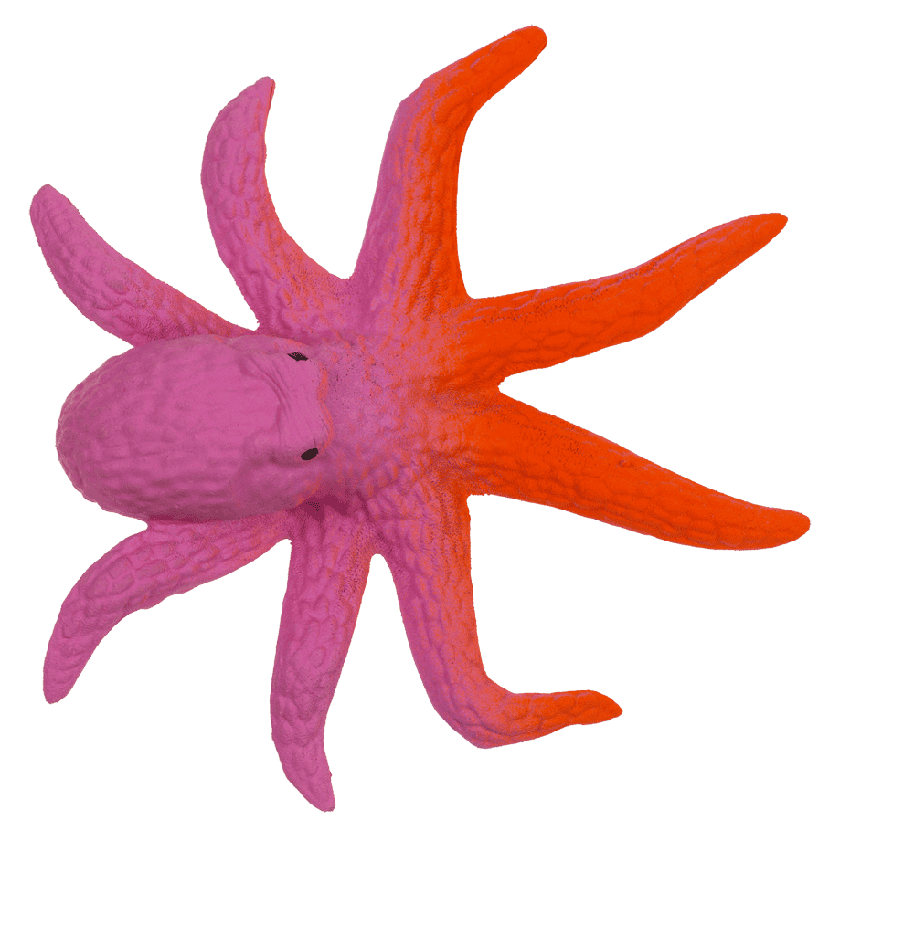 Growing Sea Animals, 10 cm,