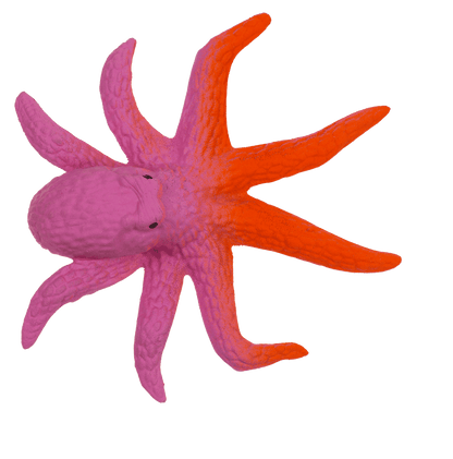 Growing Sea Animals, 10 cm,