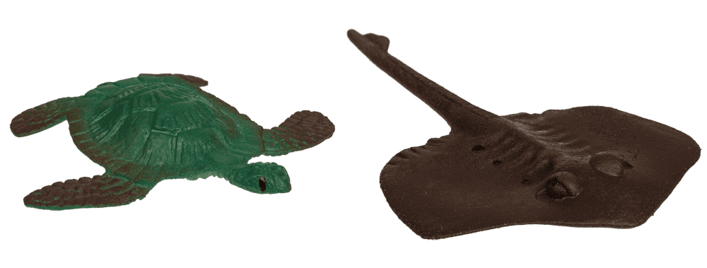 Growing Sea Animals, 10 cm,