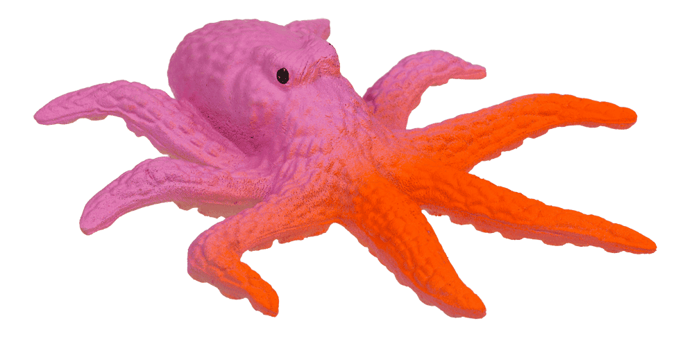 Growing Sea Animals, 10 cm,