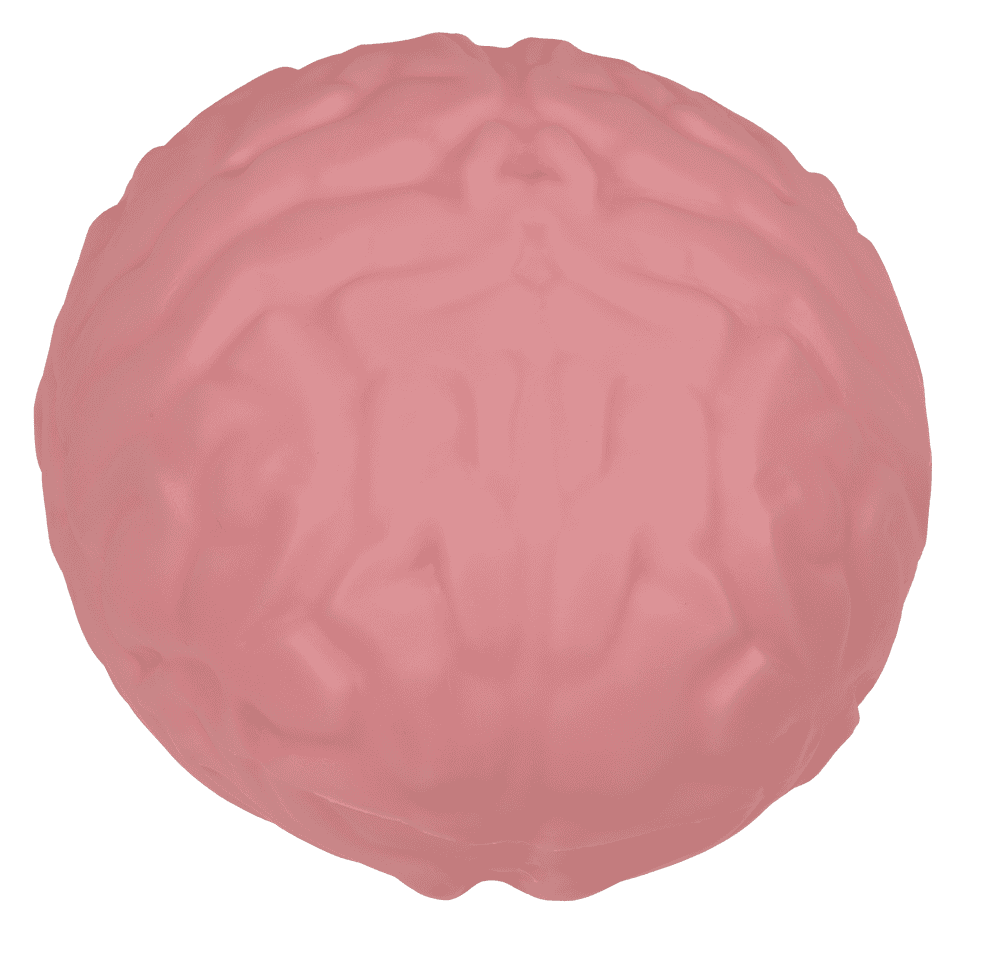 XL Squeeze Brain, 15,5 cm,