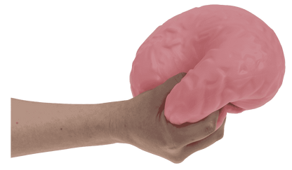 XL Squeeze Brain, 15,5 cm,