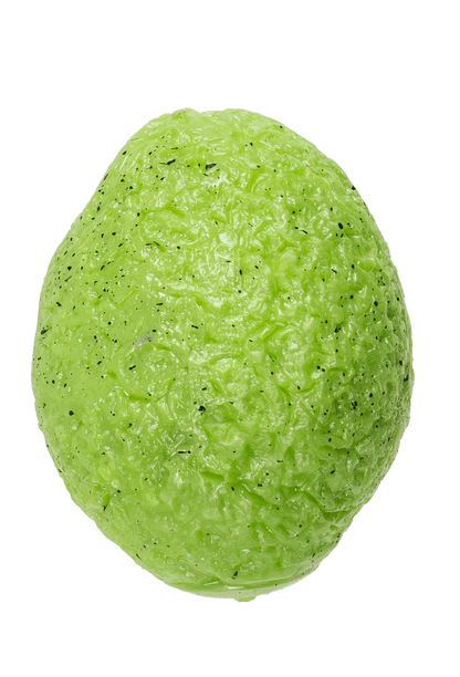 squeeze egg with dinosaur,