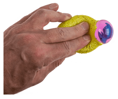 squeeze egg with dinosaur,