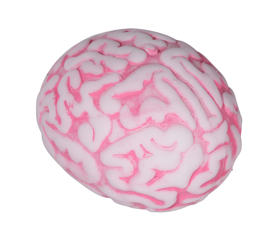 Squeeze ball, Brain,