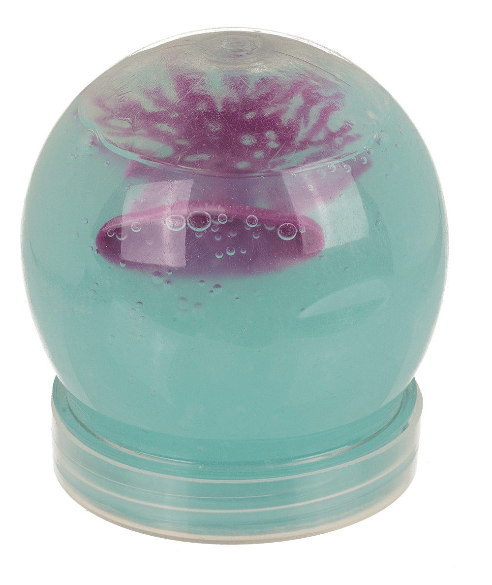 Sea Slime, with Coral and Animal, ca. 150 g,