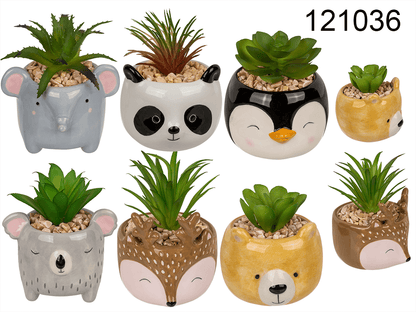 Decoration succulent in pot, Animals,
